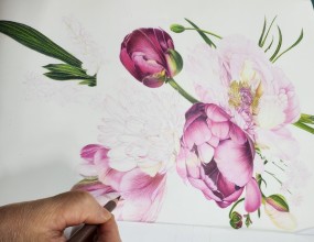 색연필화~보태니컬 아트는  꽃, 과일 식물을 관찰하고 그리며정성 어린 손끝에서 멋진 작품이 탄생합니다~수요일 편안한 시간에 나오셔서 배우세요~^^