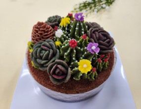 수강생 작품!초코 설기를 만들어 강낭콩 앙금에 천연색소를 넣어 다육이, 솔방울, 선인장 등을 짜서 어레인지했어요~1:1 진도에 마추어 수업해드립니다.월, 화요일 자격증반/취미반 수시 등록 받고있습니다~